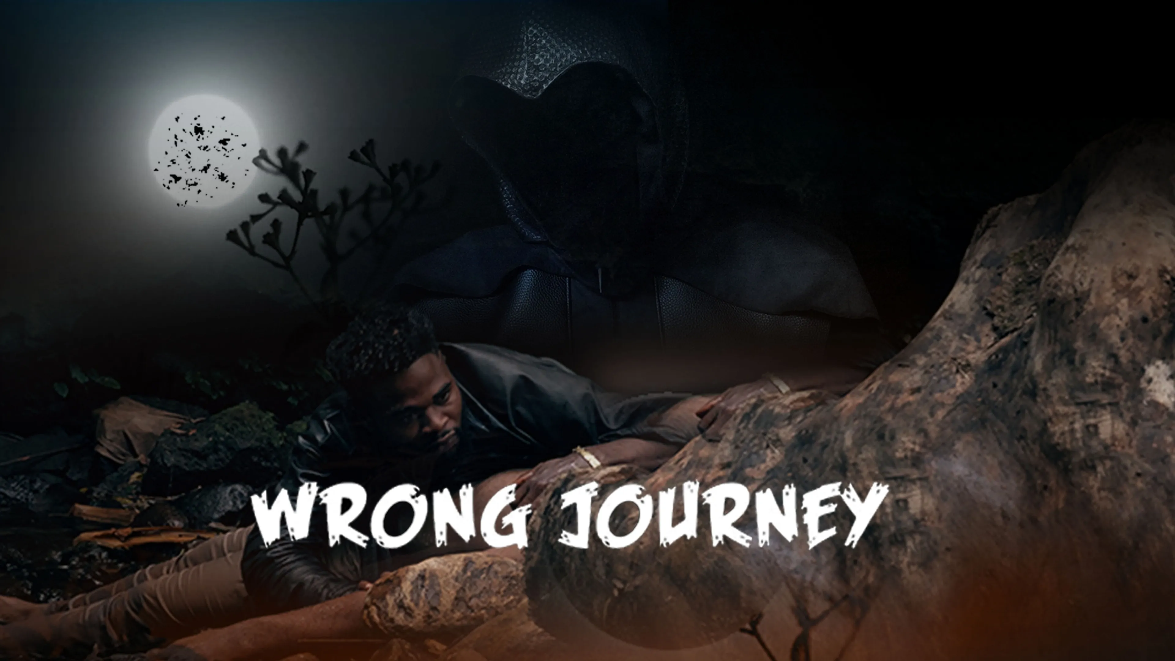 Wrong Journey poster